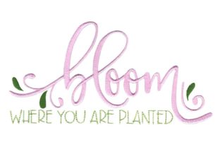 Bloom Where You Are Planted Review