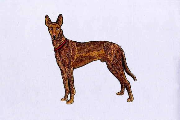 Brown Greyhound Embroidery Review