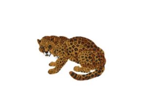Jaguar Embroidery for Seasonal Projects