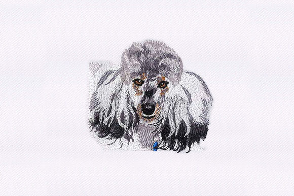 Poodle Face Embroidery Review