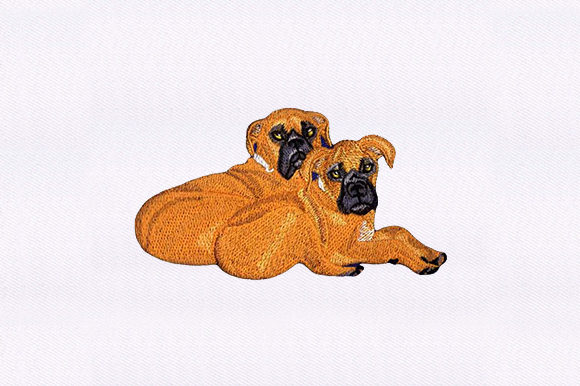 Sitting Boxers Embroidery Review