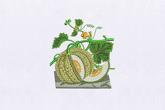 Vines Muskmelon Embroidery Review